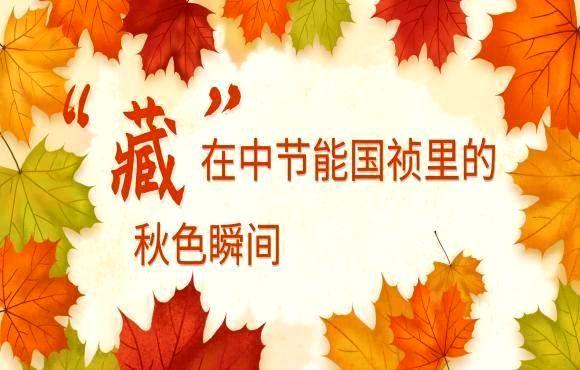 四季九游会J9丨“藏”在中节能九游会J9里的秋色瞬间